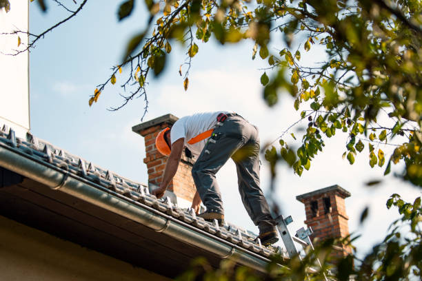 Best Roof Ventilation Installation  in Orchards, WA